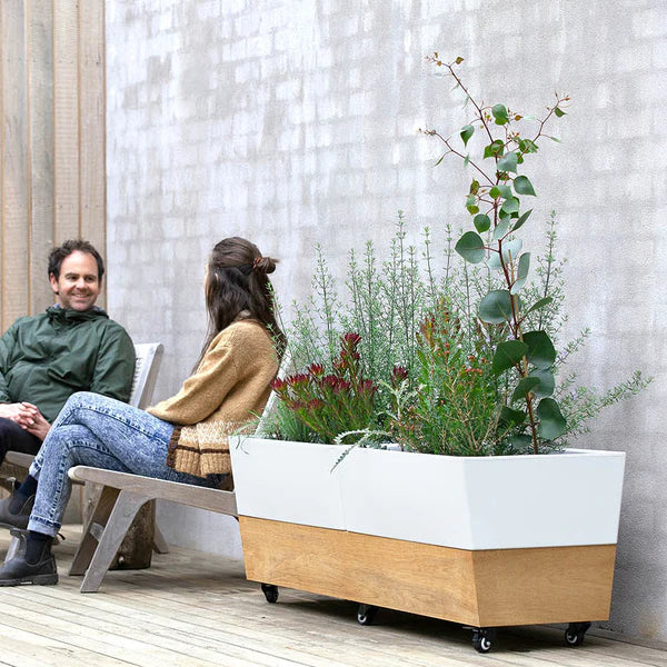 Glowpear Café Planter