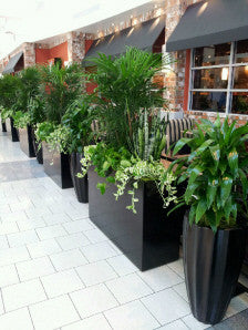 Fiberglass Rectangular Planter Box – gardenmybalcony.com