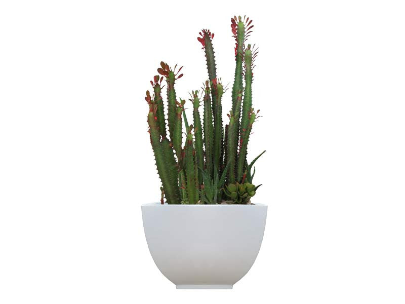 Kathryn Tapered Square Fiberglass Planter