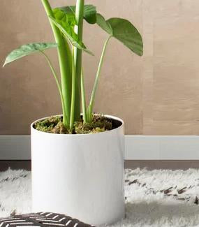 NMN Designs KnoxMod Cylinder Heavy Duty Planter - White