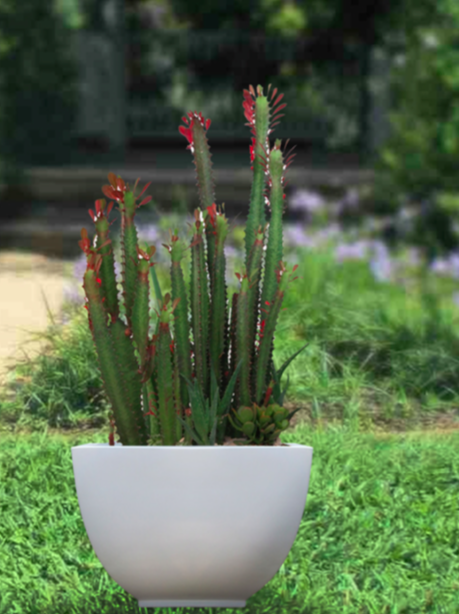 Kathryn Tapered Square Fiberglass Planter