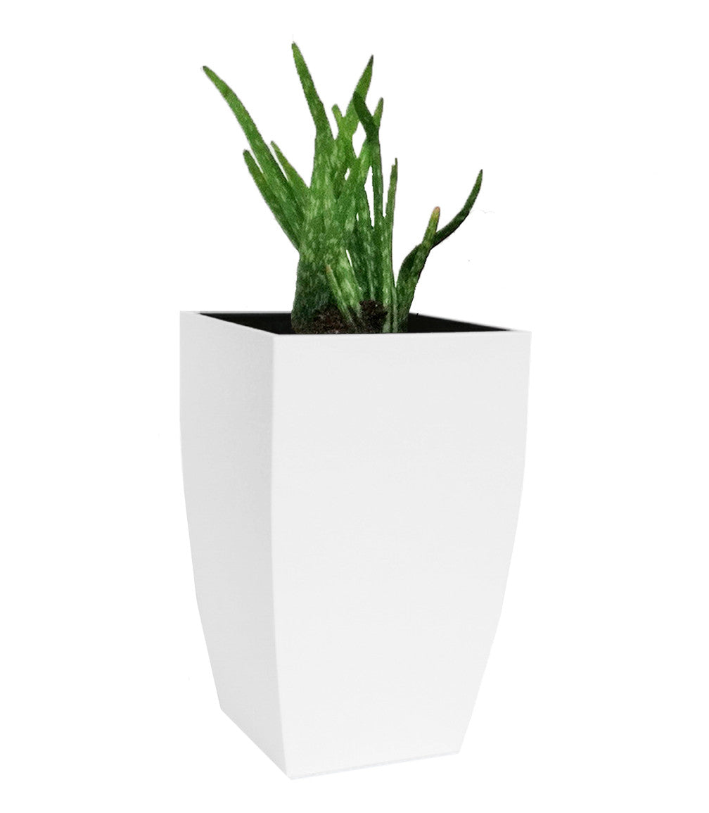 NMN Designs Madeira Cubica Stainless Steel Planter - gardenmybalcony.com - 1