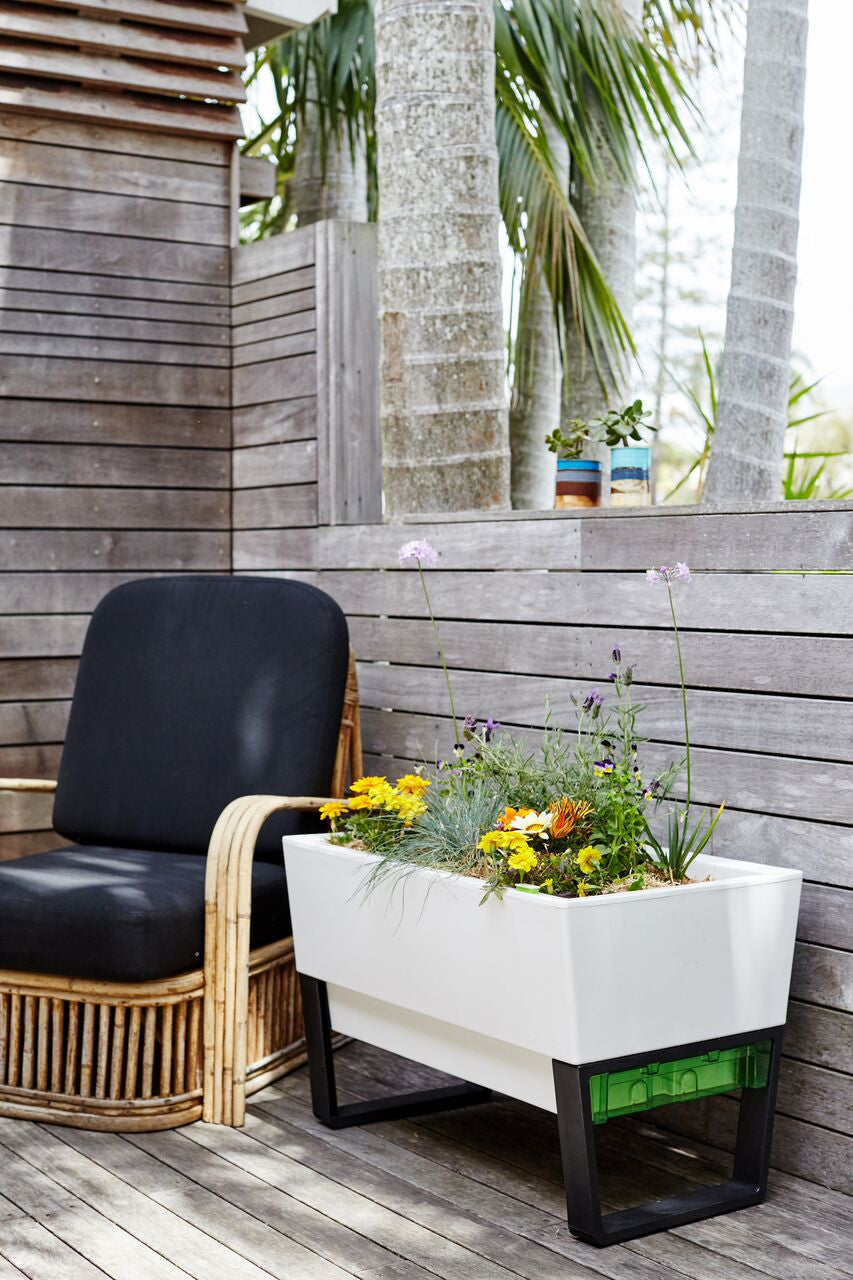 Glowpear Urban Garden Self-Watering Planter - gardenmybalcony.com - 16