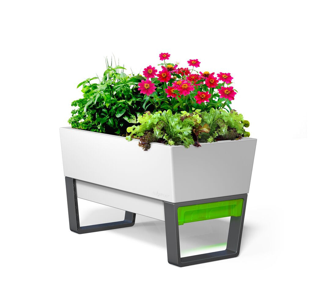 Glowpear Urban Garden Self-Watering Planter - gardenmybalcony.com - 3