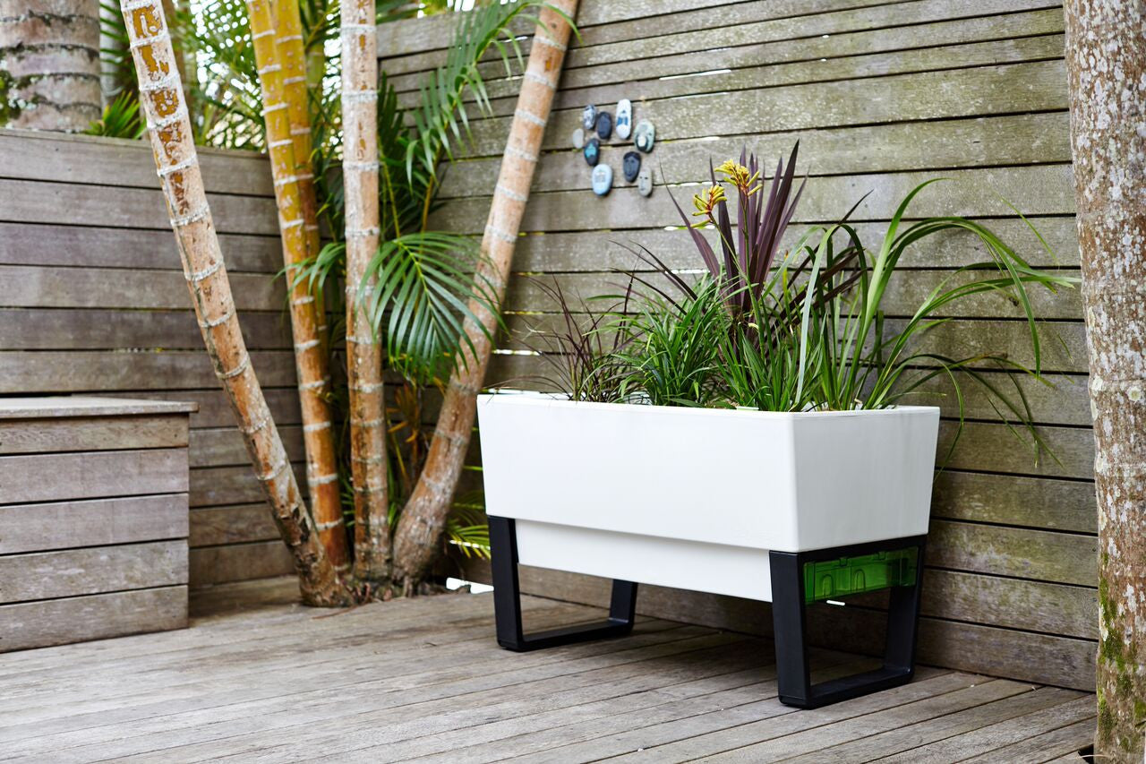 Glowpear Urban Garden Self-Watering Planter - gardenmybalcony.com - 2