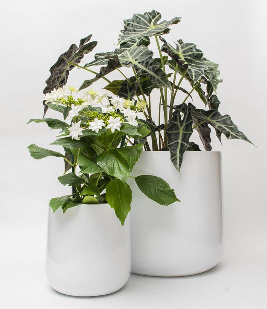 NMN Designs Ainslie Planter