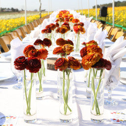 Field to Vase Dinner Tours