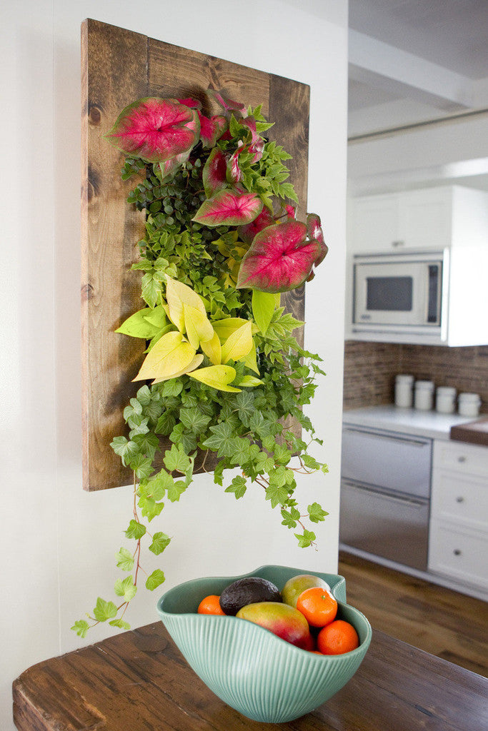 5 Effortless Projects for Beginners