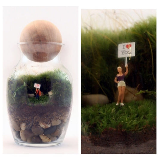 Say I Love You with a Readymade Terrarium