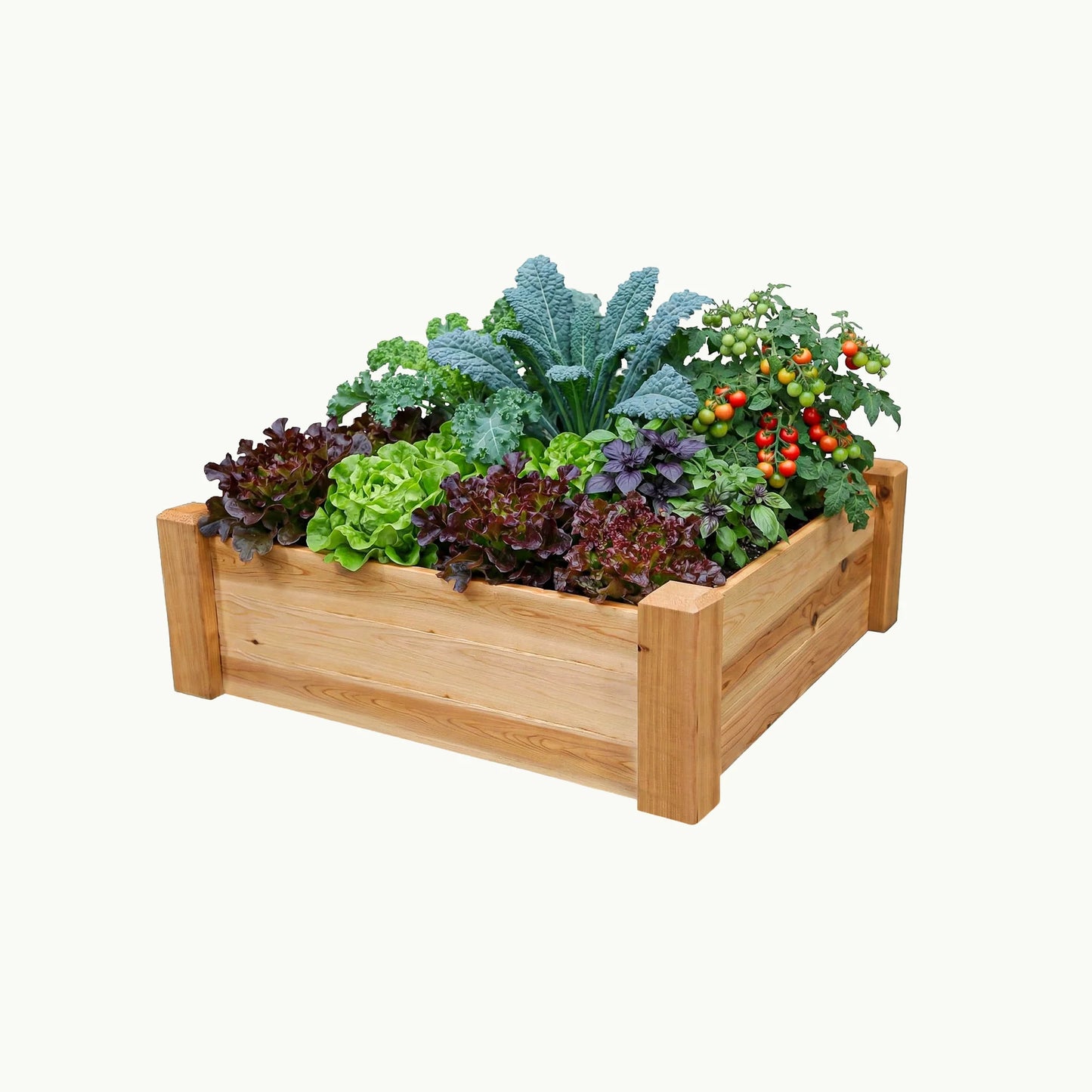 Raised Garden Bed – 34” x 34” Cedar Planter