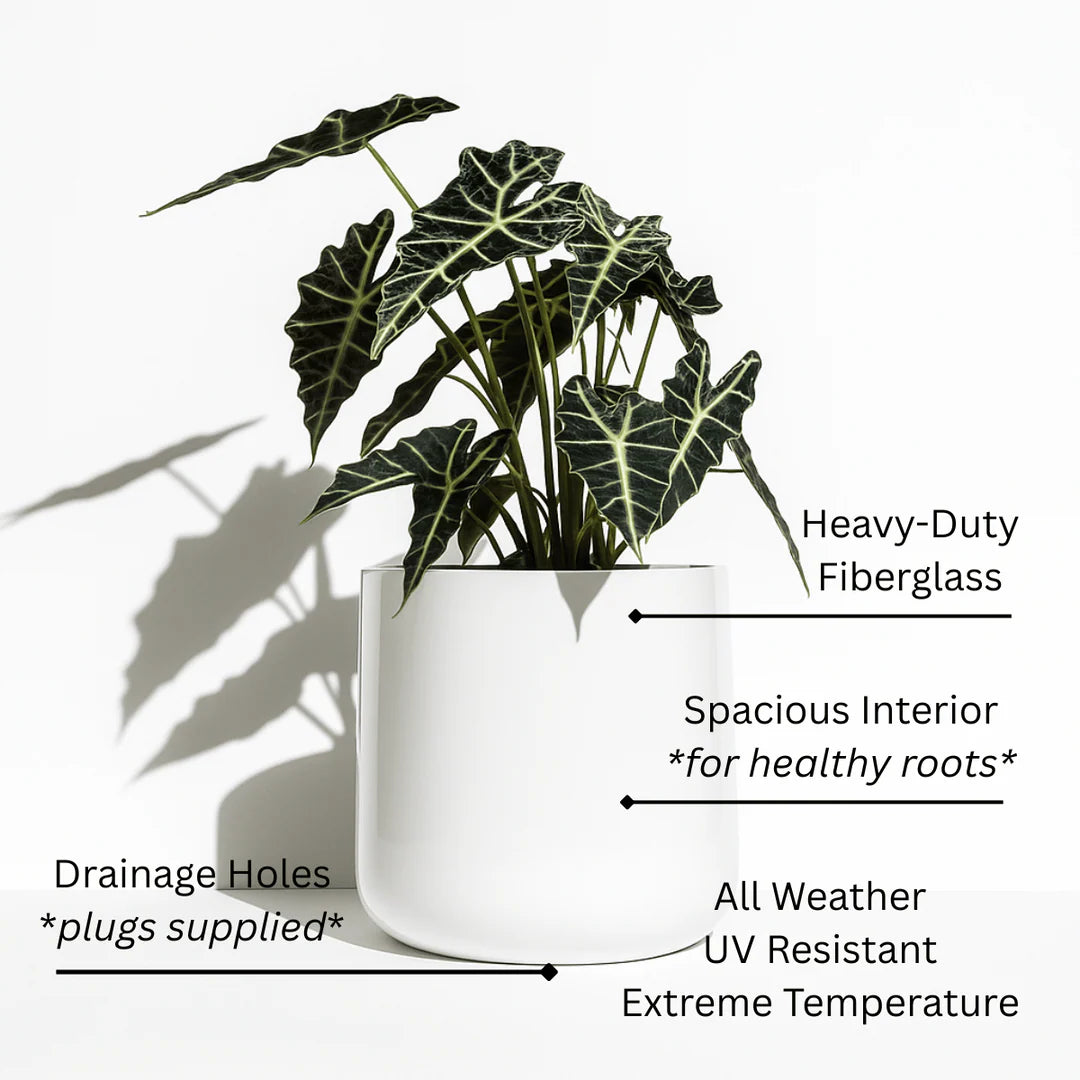 NMN Designs Ainslie Planter