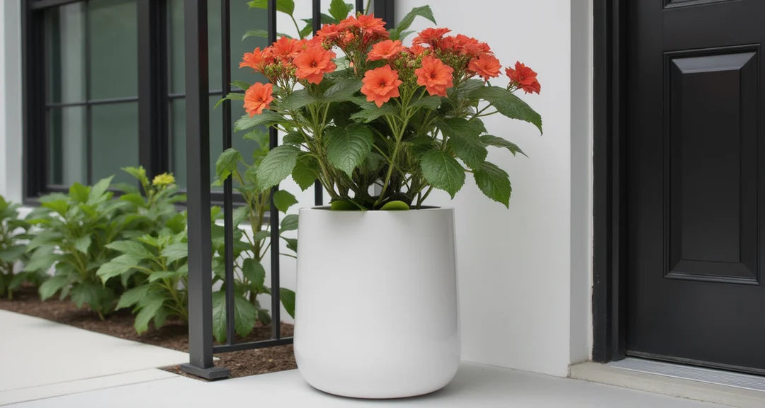 NMN Designs Ainslie Planter