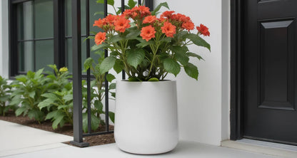 NMN Designs Ainslie Planter