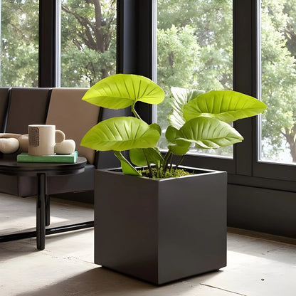 NMN Designs Seeley Cube Planter