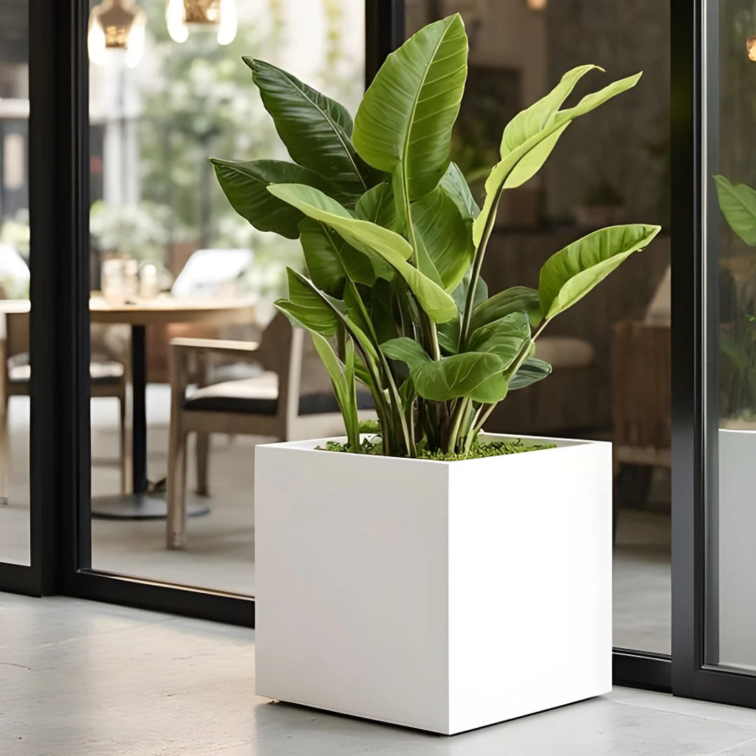 NMN Designs Seeley Cube Planter