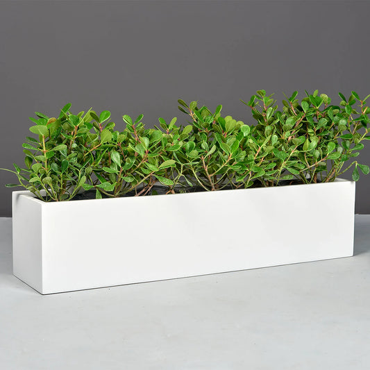 Monaco Table Top Fiberglass Rectangle Planter