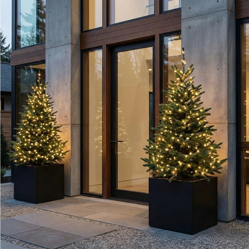 NMN Designs Seeley Cube Planter