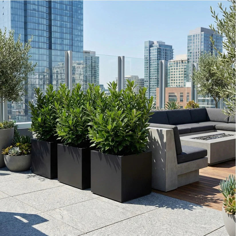 NMN Designs Seeley Cube Minimalist Block Cube Outdoor Planter –  gardenmybalcony.com