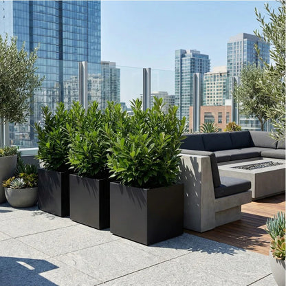 NMN Designs Seeley Cube Planter