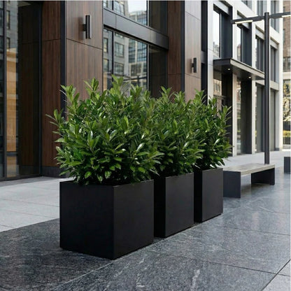 NMN Designs Seeley Cube Planter