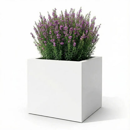 NMN Designs Seeley Cube Planter
