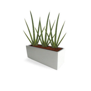 Tupelo Fiberglass Rectangle Planter