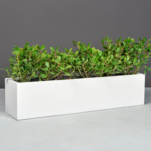 Vicksburg Table Top Fiberglass Rectangle Planter