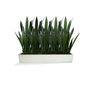 Vicksburg Table Top Fiberglass Rectangle Planter