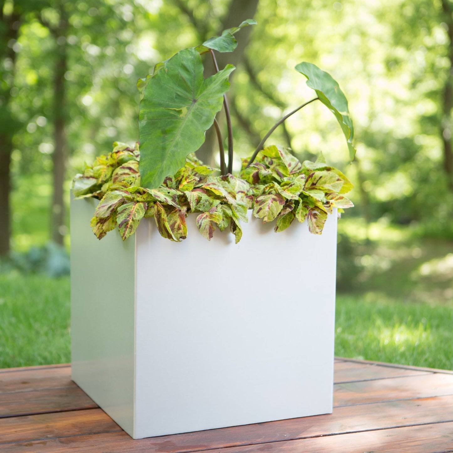 NMN Designs Madeira Aluminum Cube Planter Large - With Wheeled Plate