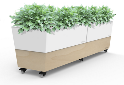 Glowpear Café Planter