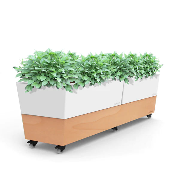 Glowpear Café Planter
