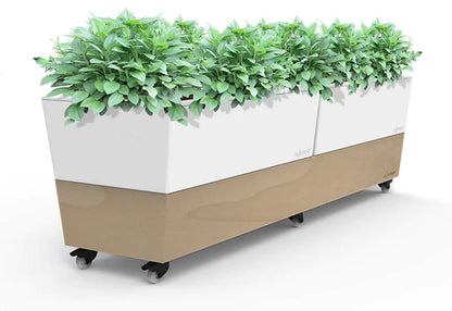 Glowpear Café Planter