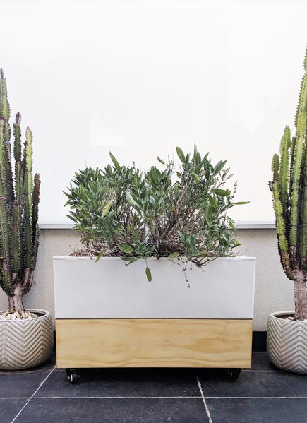 Glowpear Café Planter
