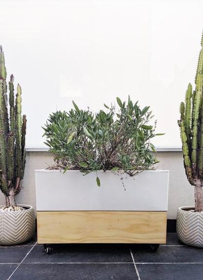Glowpear Café Planter