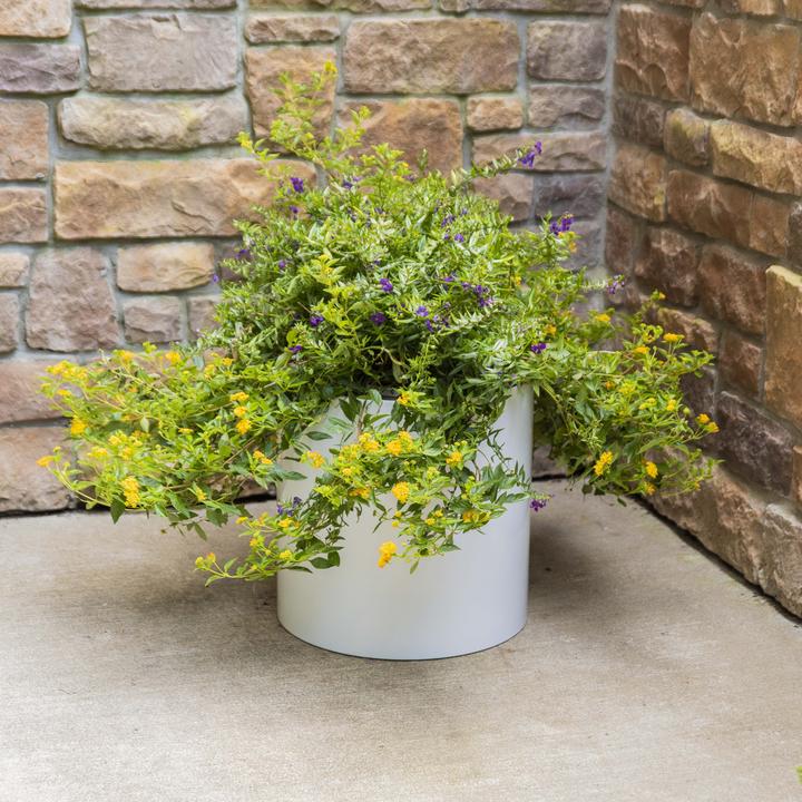 NMN Designs KnoxMod Cylinder Heavy Duty Planter - White