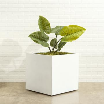 NMN Designs Seeley Cube Planter