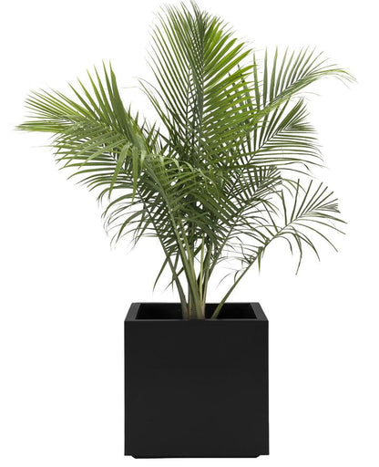 NMN Designs Seeley Cube Planter