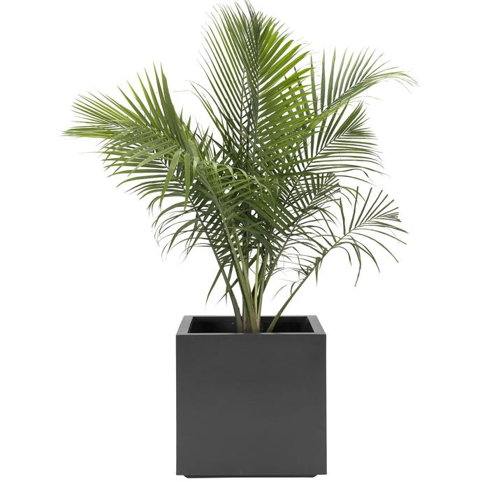 NMN Designs Seeley Cube Planter