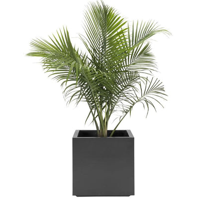 NMN Designs Seeley Cube Planter