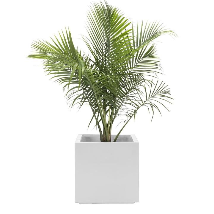 NMN Designs Seeley Cube Planter