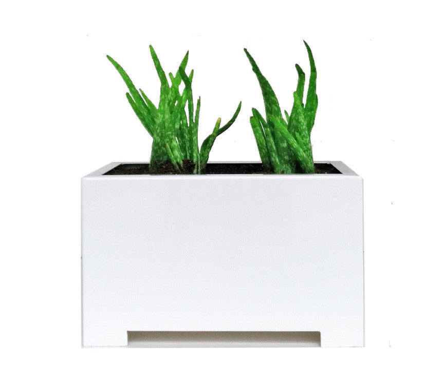 NMN Designs Alora Rectangle Planter -  - 2