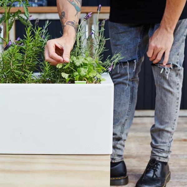 Glowpear Café Planter