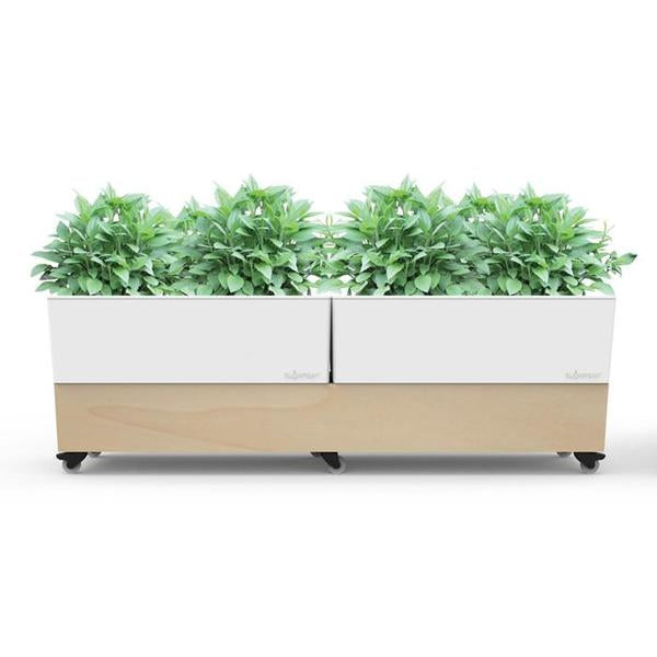 Glowpear Café Planter