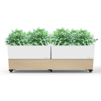 Glowpear Café Planter