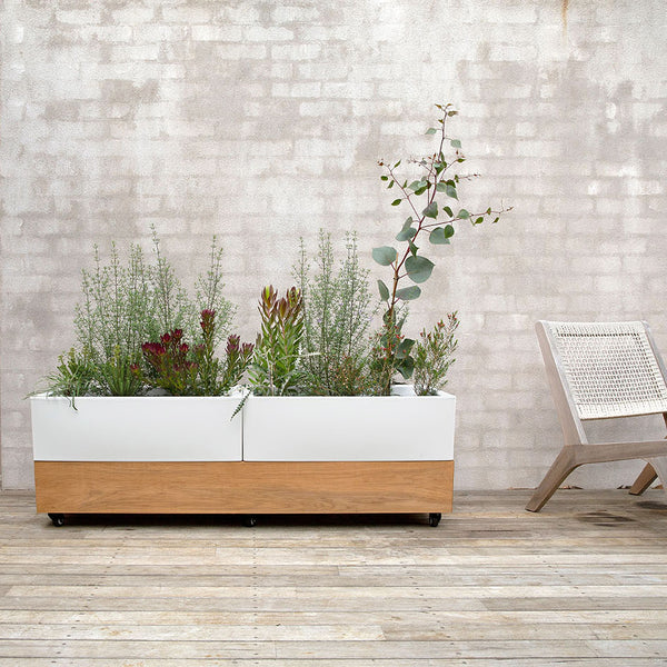 Glowpear Café Planter