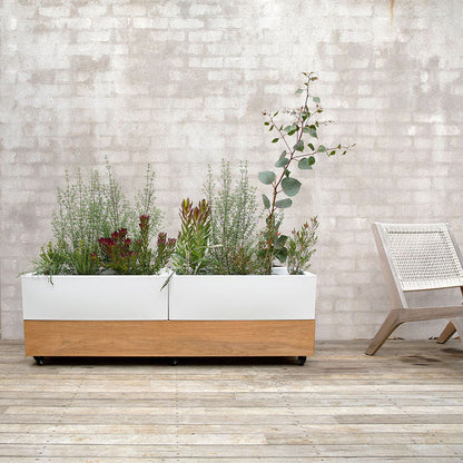 Glowpear Café Planter
