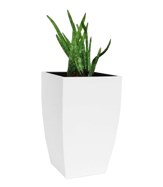 NMN Designs Madeira Cubica Stainless Steel Planter - gardenmybalcony.com - 1