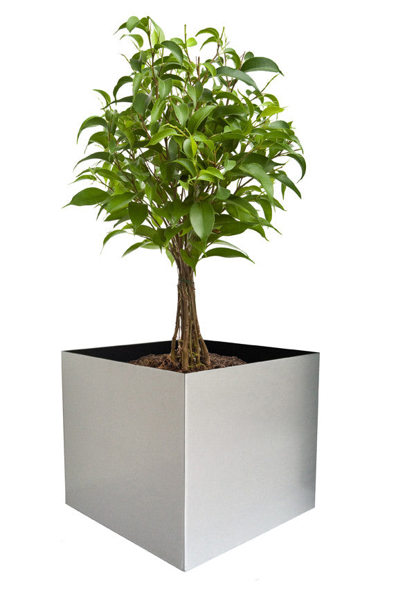 NMN Designs Madeira Aluminum Cube Planter Large - Without Wood Base - gardenmybalcony.com - 2