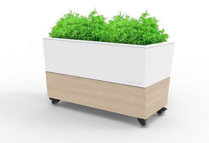 Glowpear Café Planter
